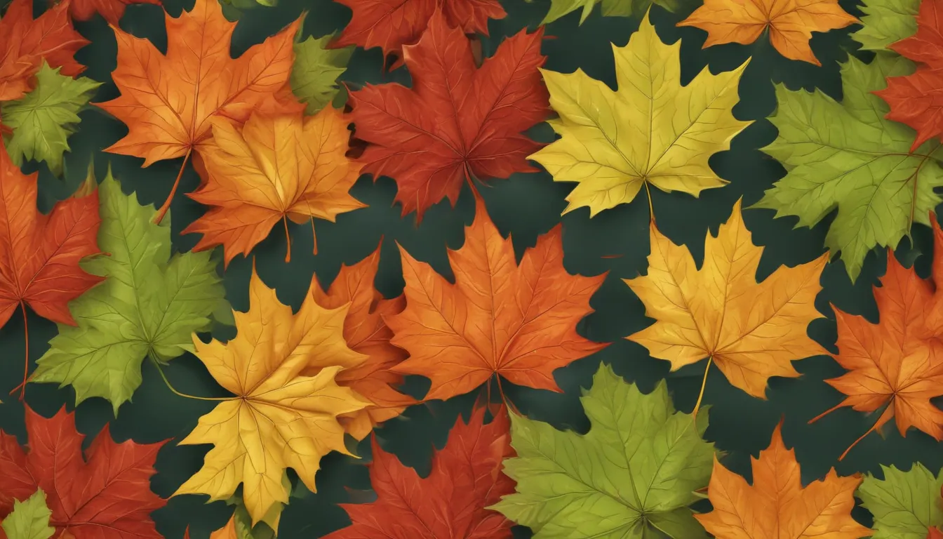 fascinating facts about maple leaf fd693cda