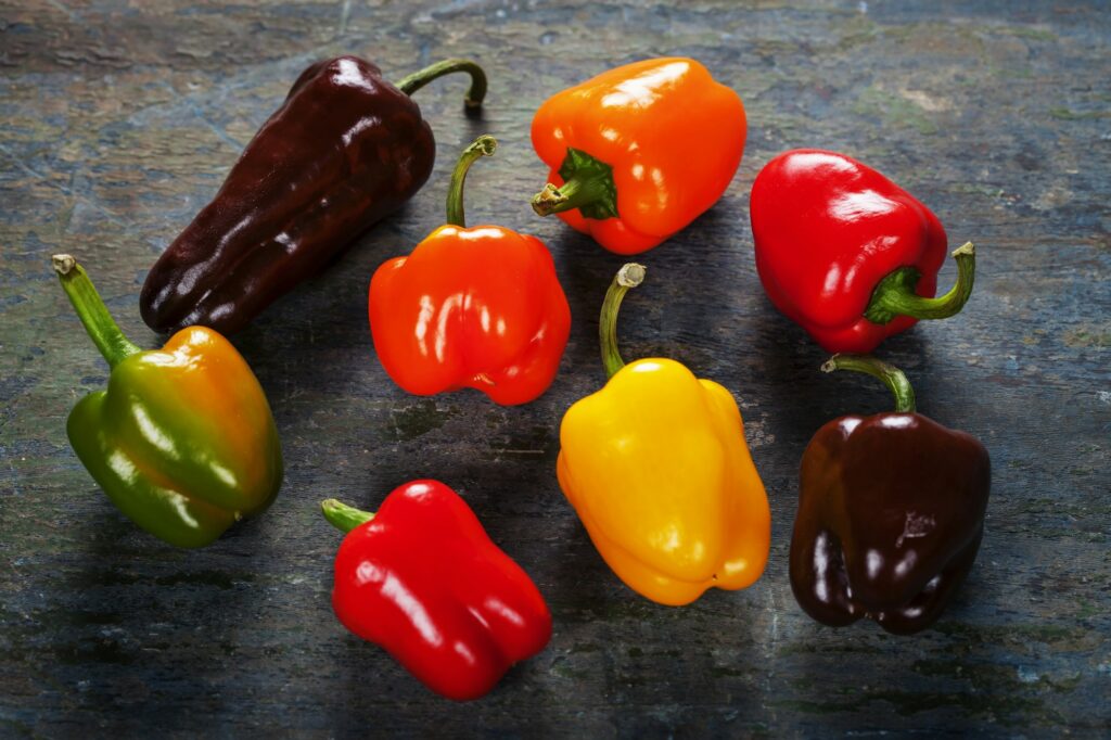 Fascinating Bell Pepper Fun Facts: Colorful Insights into a Versatile Veggie 2 Colored bell peppers