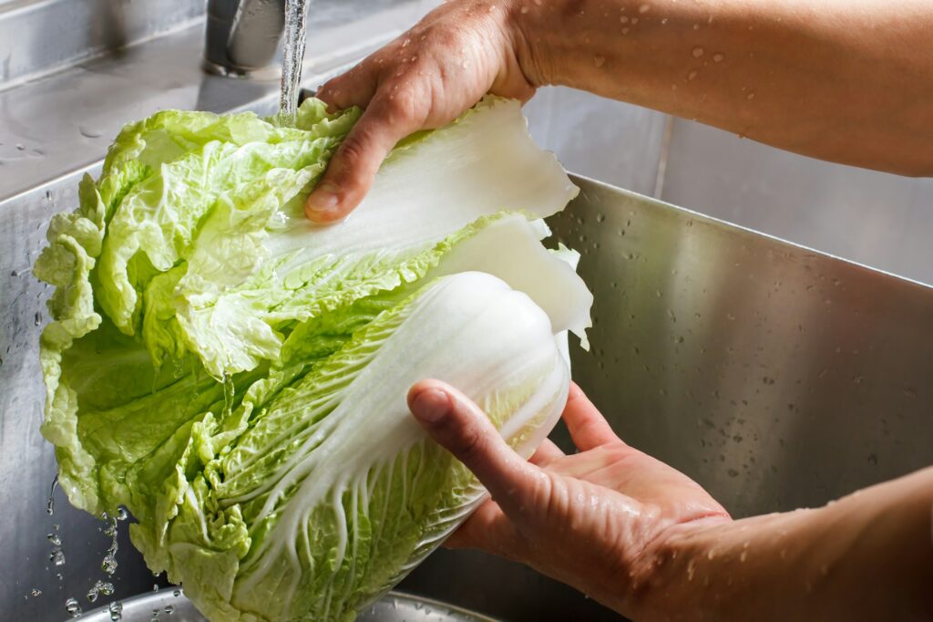 Facts About Chinese Cabbage: A Nutritious and Versatile Vegetable 2 Hands washing chinese cabbage.