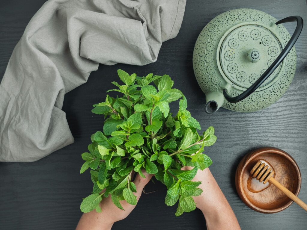 10 Fascinating Facts About Moroccan Food You Need to Know 3 Mint tea